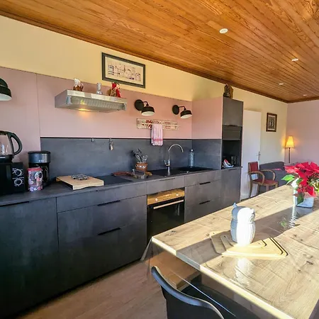 Renovee Avec Jacuzzi Et Espaces De Detente - Fr-1-589-833 Ferienhaus Fraize